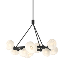 Hubbardton Forge 131069-SKT-MULT-10-FD0710 - Ume 9-Light Ring Pendant