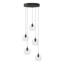 Hubbardton Forge 131123-SKT-STND-20-ZM0709 - Ume 5-Light Pendant