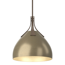 Hubbardton Forge 134502-SKT-MULT-05-84 - Summit Pendant