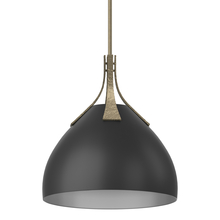 Hubbardton Forge 134502-SKT-MULT-84-10 - Summit Pendant