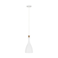 Visual Comfort & Co. Studio Collection EP1131MWT - Darwin Small Pendant