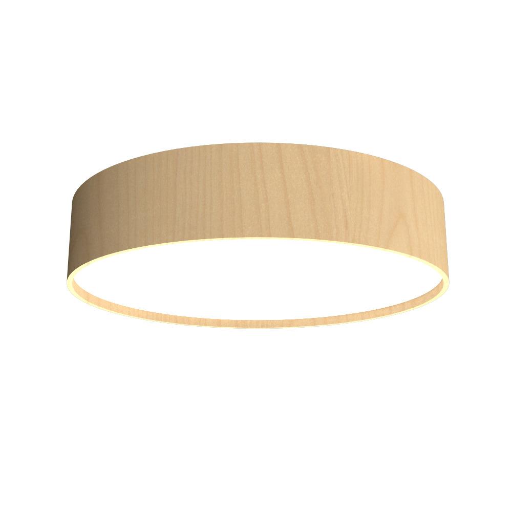 Cylindrical Accord Ceiling Mounted 504 LED